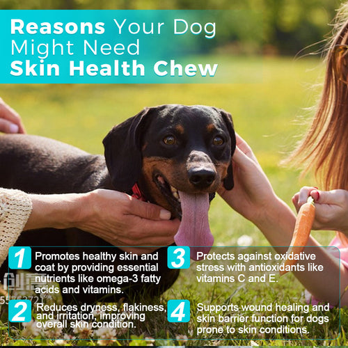 Skin Health Chews for Dogs – Omega-3 & Antioxidant Support (30 Soft