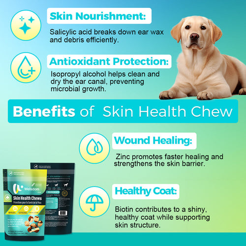 Skin Health Chews for Dogs – Omega-3 & Antioxidant Support (30 Soft