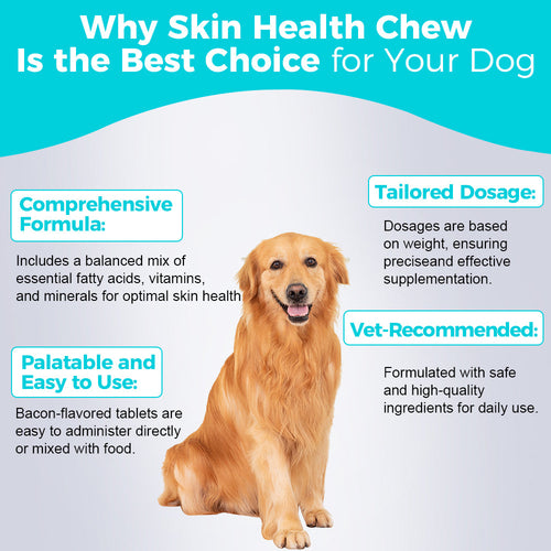 Skin Health Chews for Dogs – Omega-3 & Antioxidant Support (30 Soft