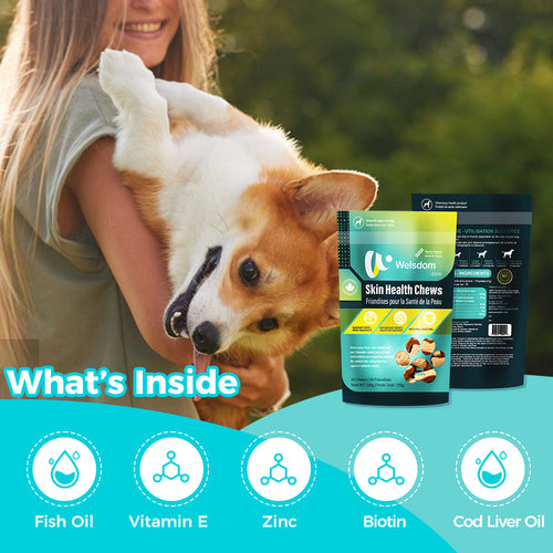 Skin Health Chews for Dogs – Omega-3 & Antioxidant Support (30 Soft
