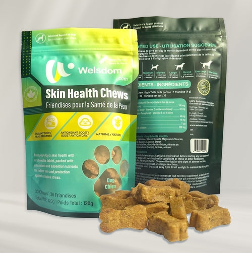 Skin Health Chews for Dogs – Omega-3 & Antioxidant Support (30 Soft